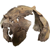 Marminte Tournié marmitetournie