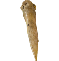 Poinçon Tournié 3 poinconstournie-3